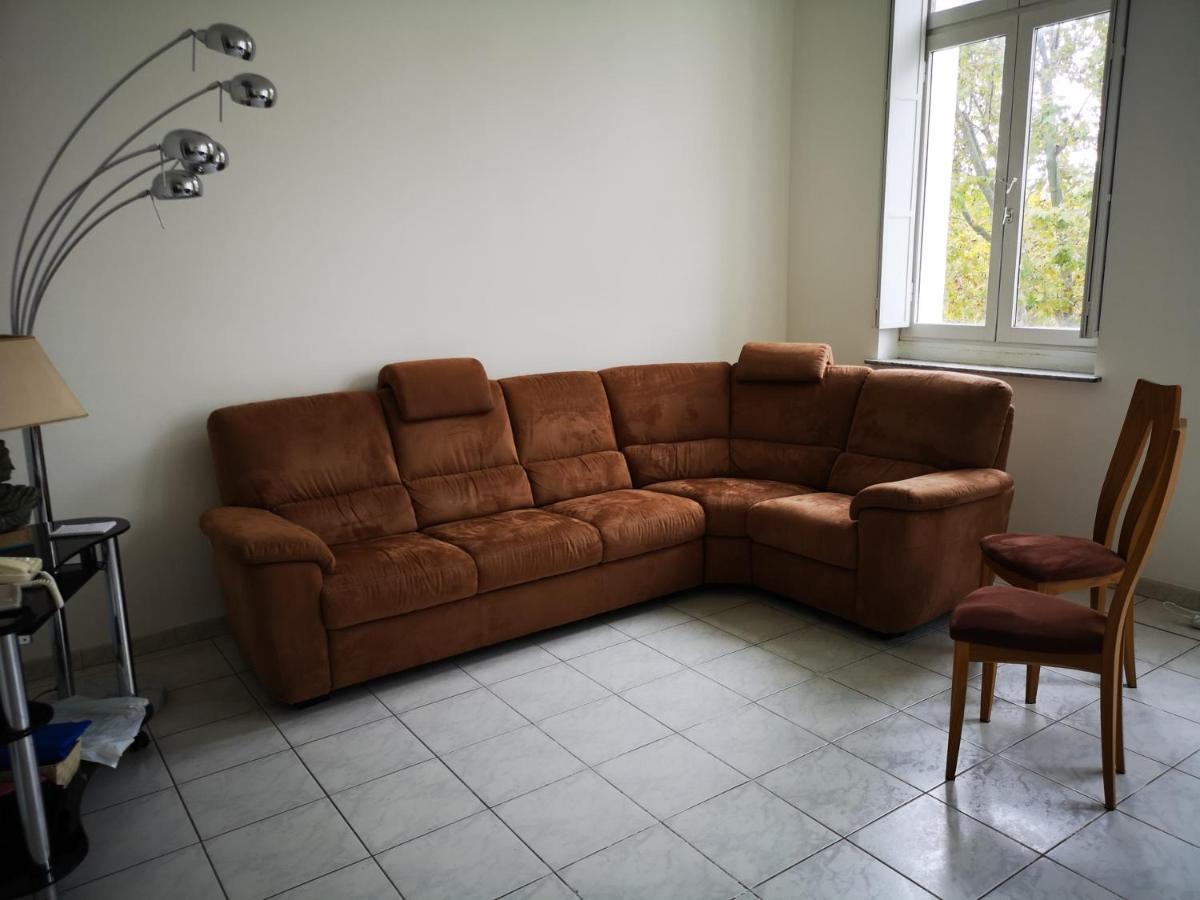 נרבון Appartement De 105M2, Balcon Sur Cours De La Republique מראה חיצוני תמונה