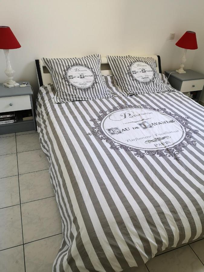 נרבון Appartement De 105M2, Balcon Sur Cours De La Republique מראה חיצוני תמונה
